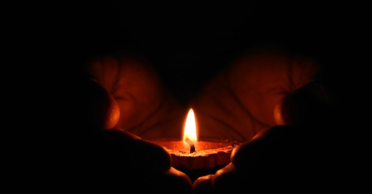 Cremation Urns | Adoring Pet Funeral Home & Cremation Services