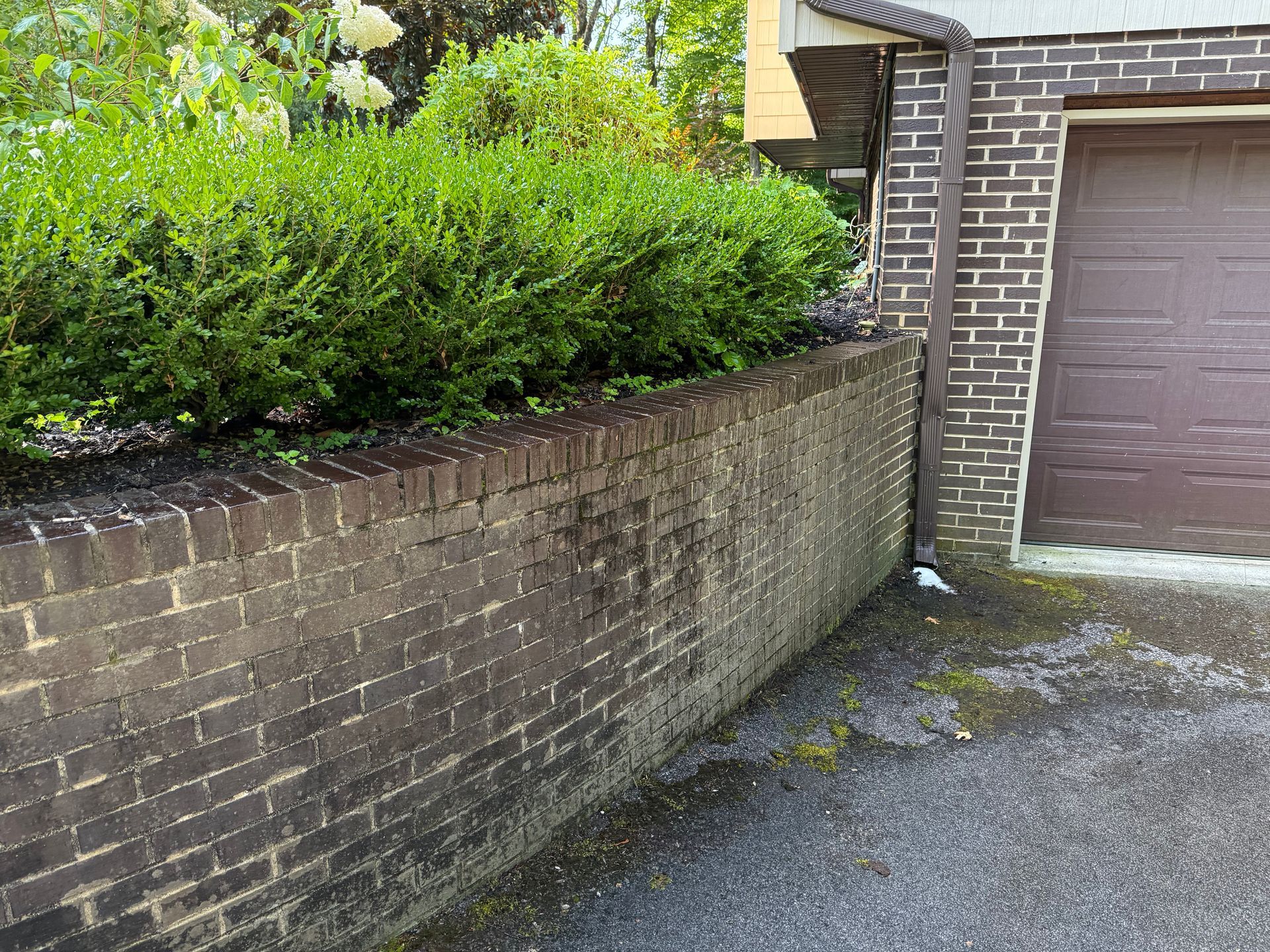 Brick retaining wall with green shrubs along its top; a garage door is on the right.
