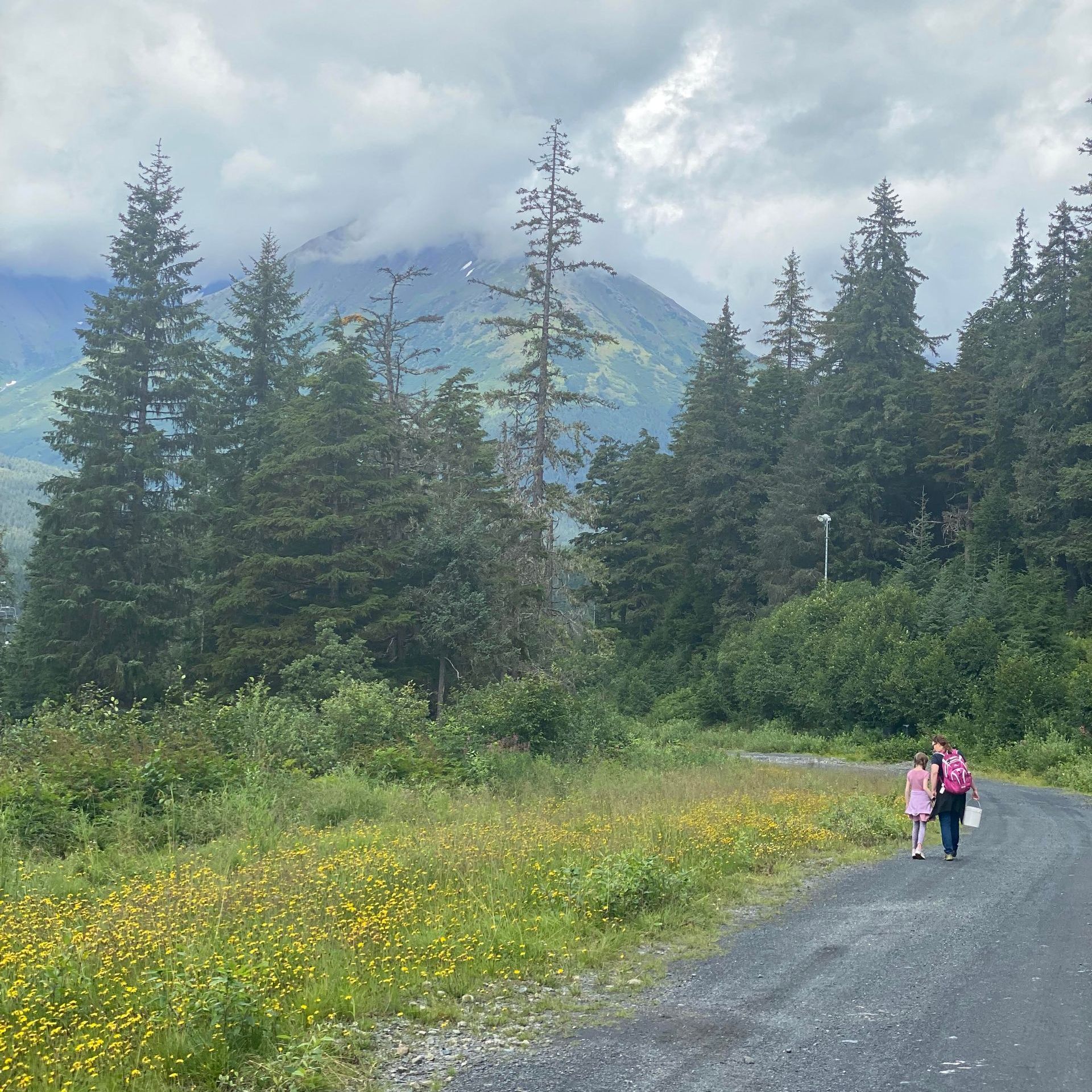 A couple walking down a road with a mountain in the background