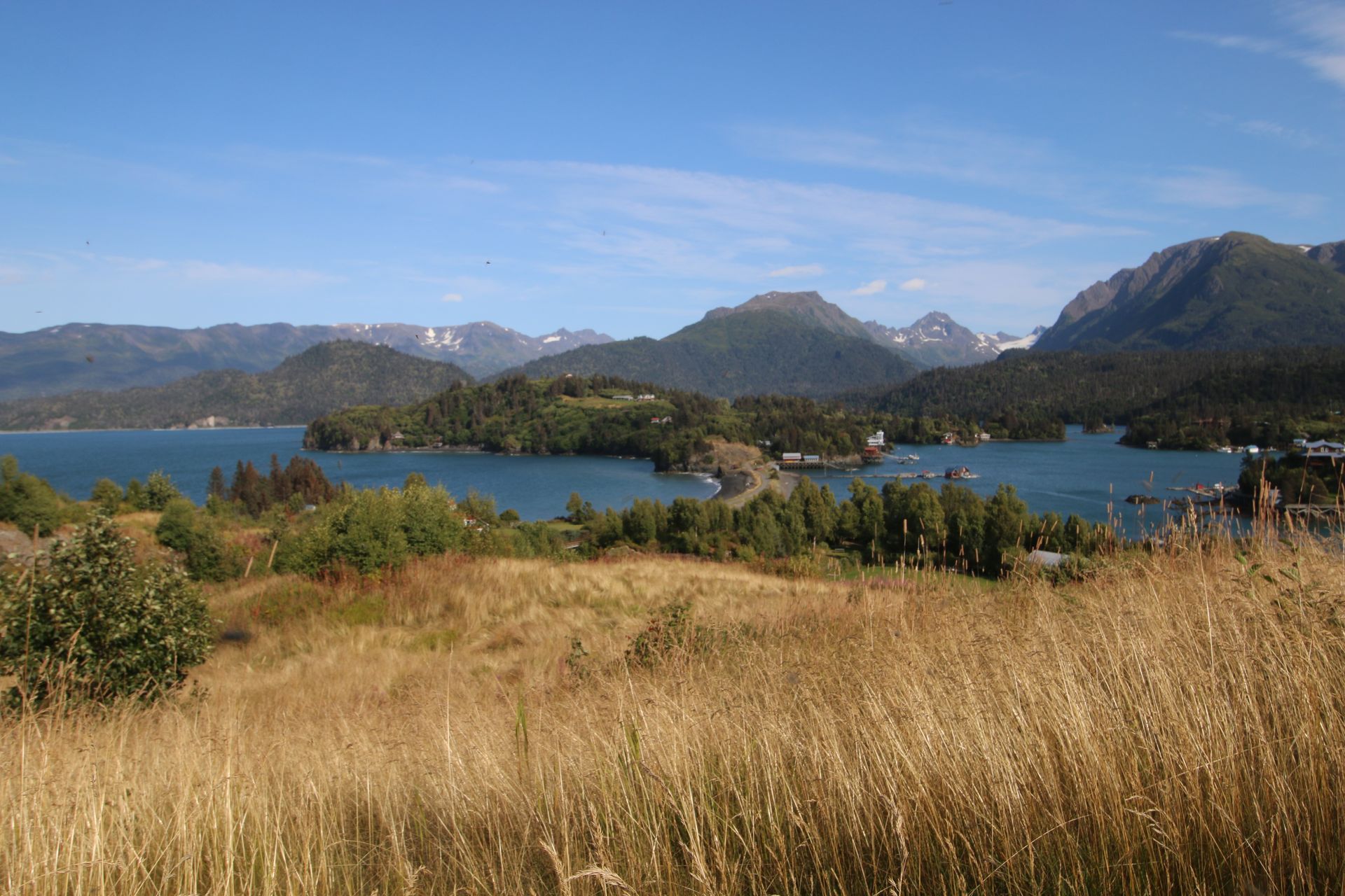 A view of a lake with mountains in the background