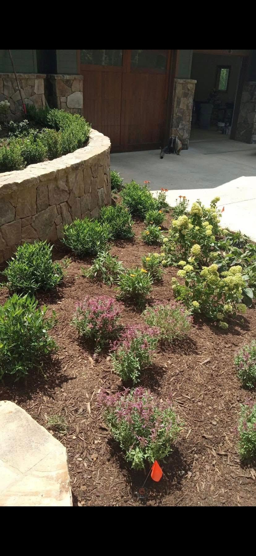 A curved stone retaining wall borders a garden bed planted with various green shrubs, small flowering plants, and mulch.