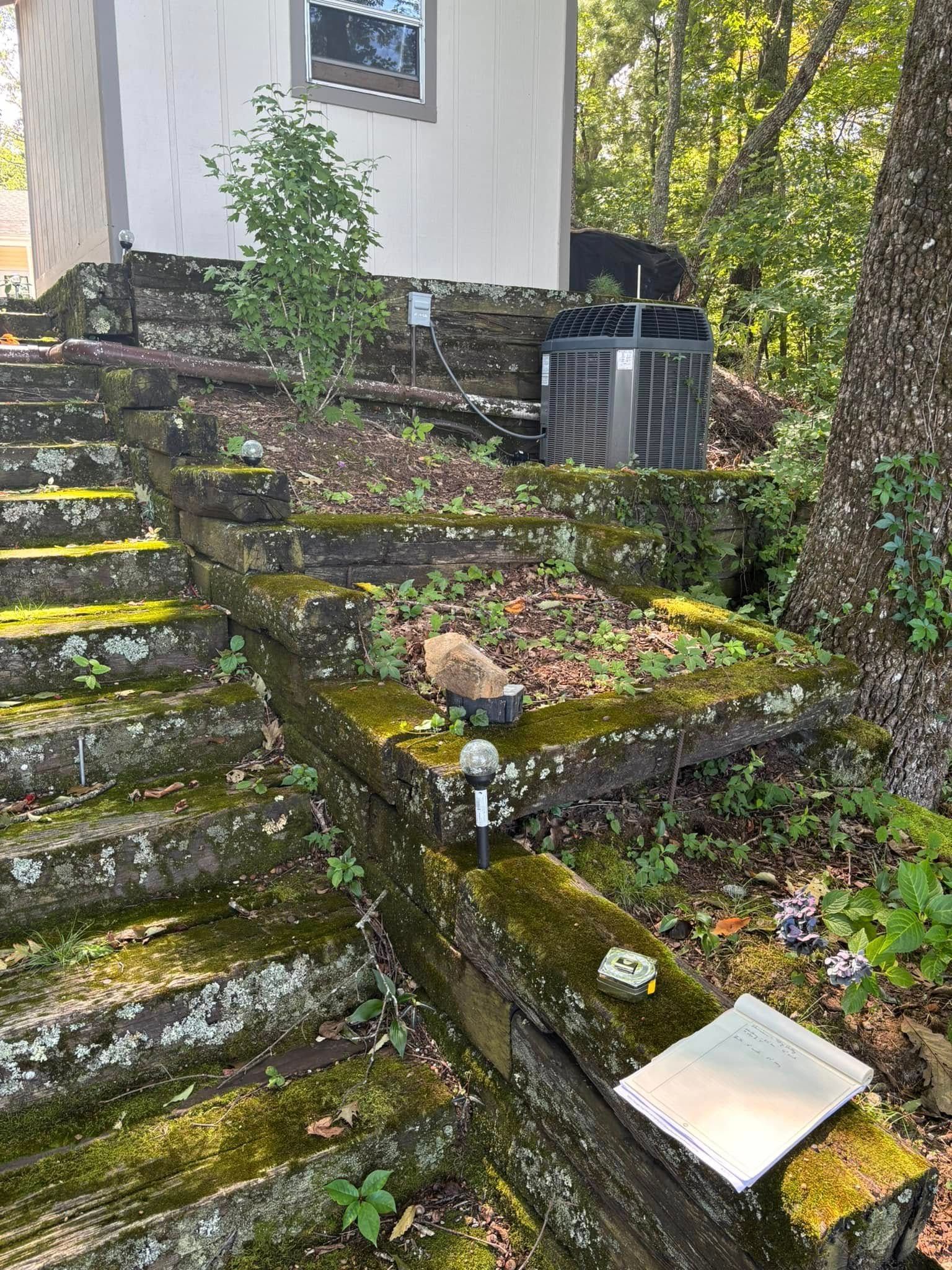 A small squirrel sits on mossy stone stairs leading up to a house with an air conditioning unit in the yard.