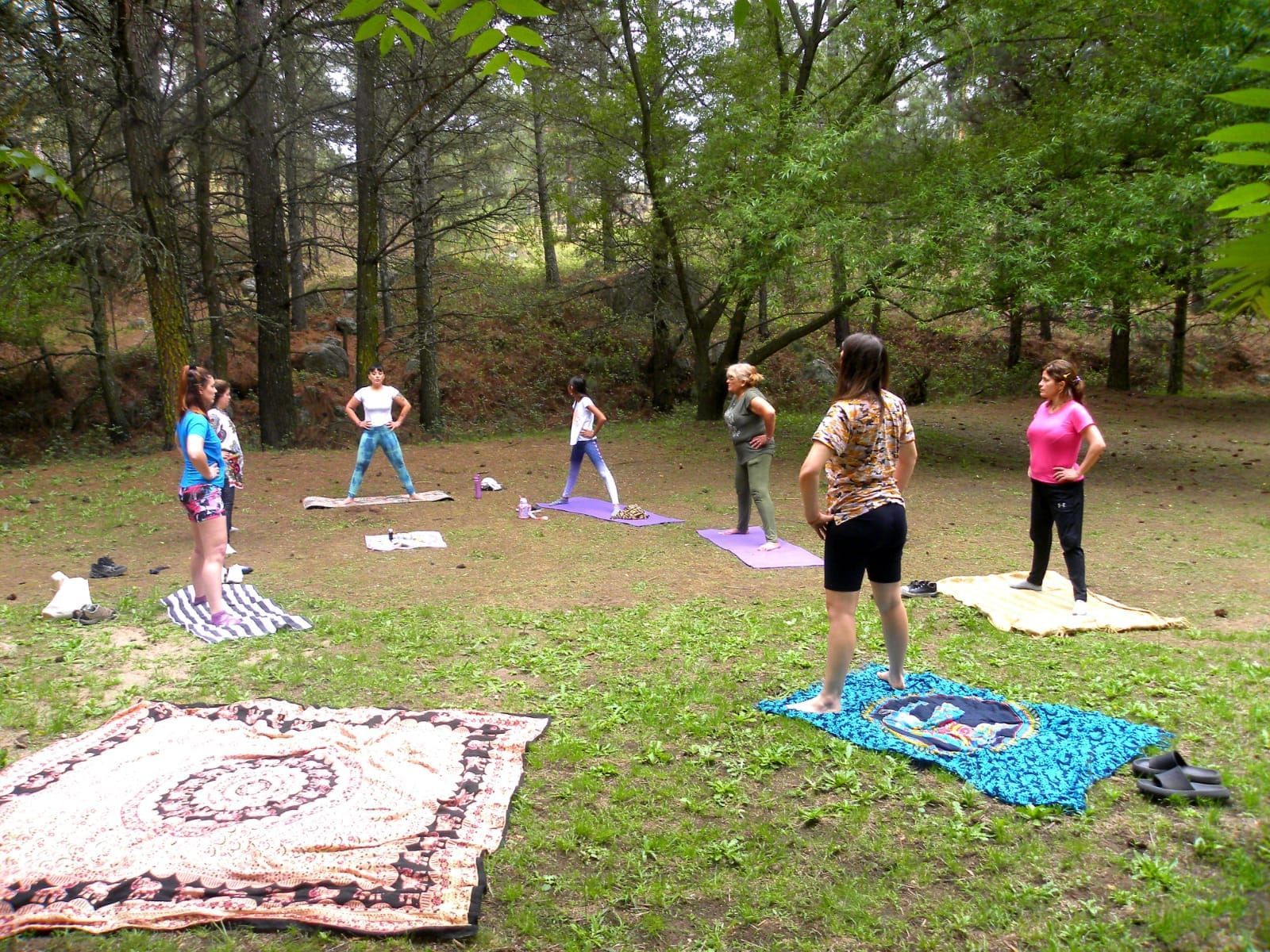 Grupo de personas practicando yoga sobre el césped en una zona boscosa. Están de pie sobre esterillas, con árboles al fondo.