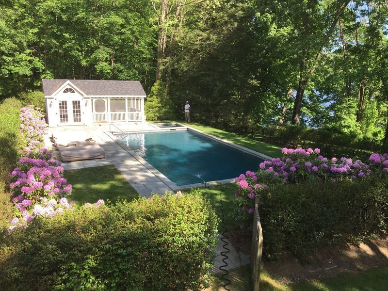 A backyard swimming pool with a white pool house, surrounded by lush trees, green lawn, and pink rhododendrons.