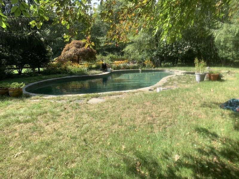 A curved, dark-water pool sits in a sunlit grassy backyard surrounded by lush trees and garden plants.