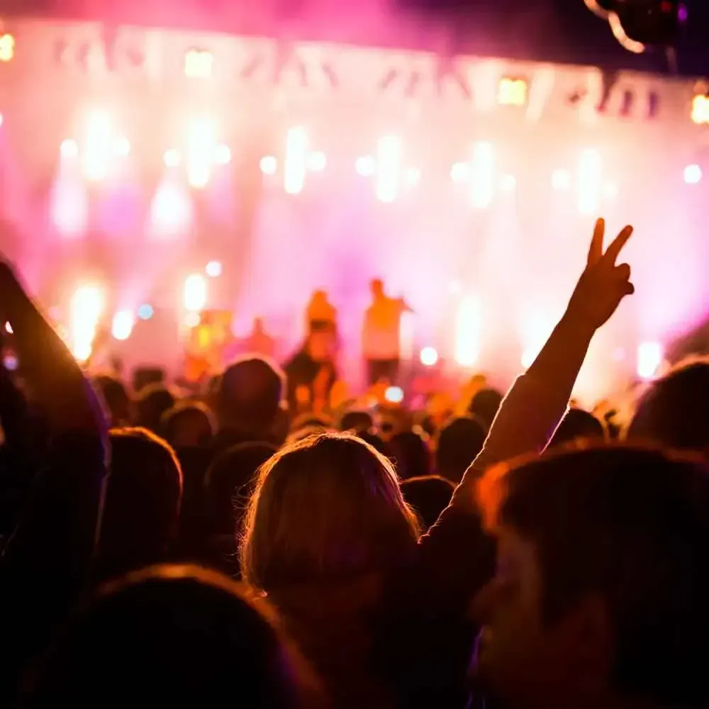 Concert crowd with raised hands, stage lights in background.