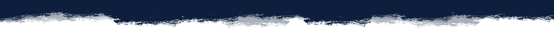 Grunge Border