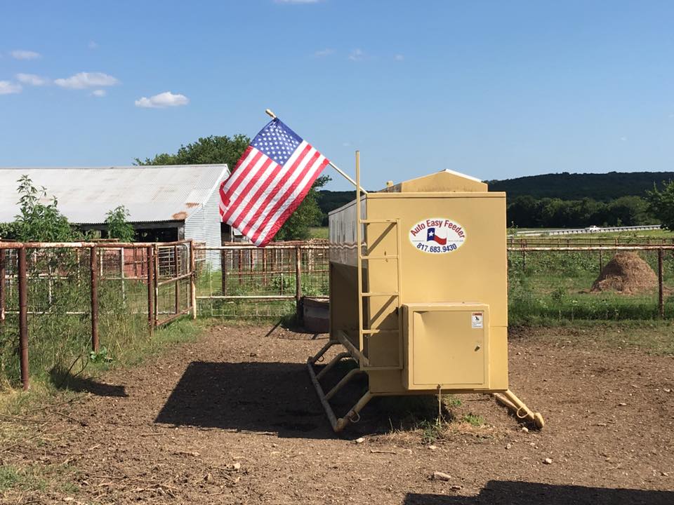 Programmable Cattle Feeder Arlington, TX Auto Easy Feeder