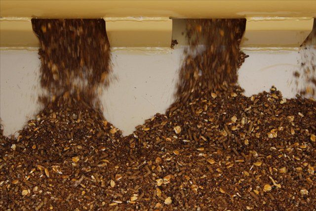 Mixed Livestock Feeds — Arlington, TX — Auto Easy Feeder