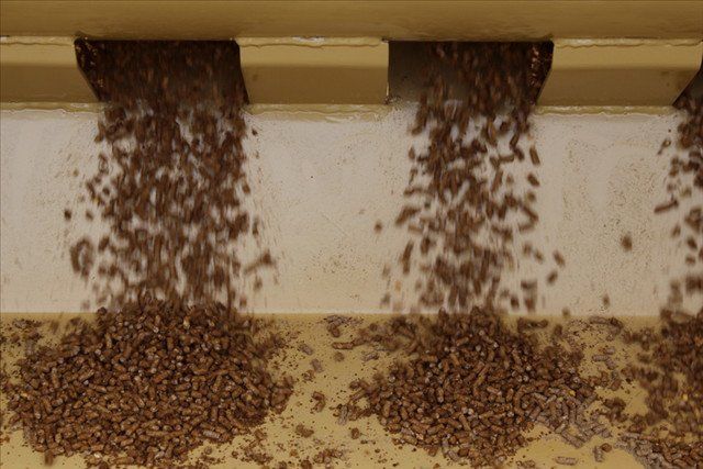 Feeds On Livestock Feeder — Arlington, TX — Auto Easy Feeder