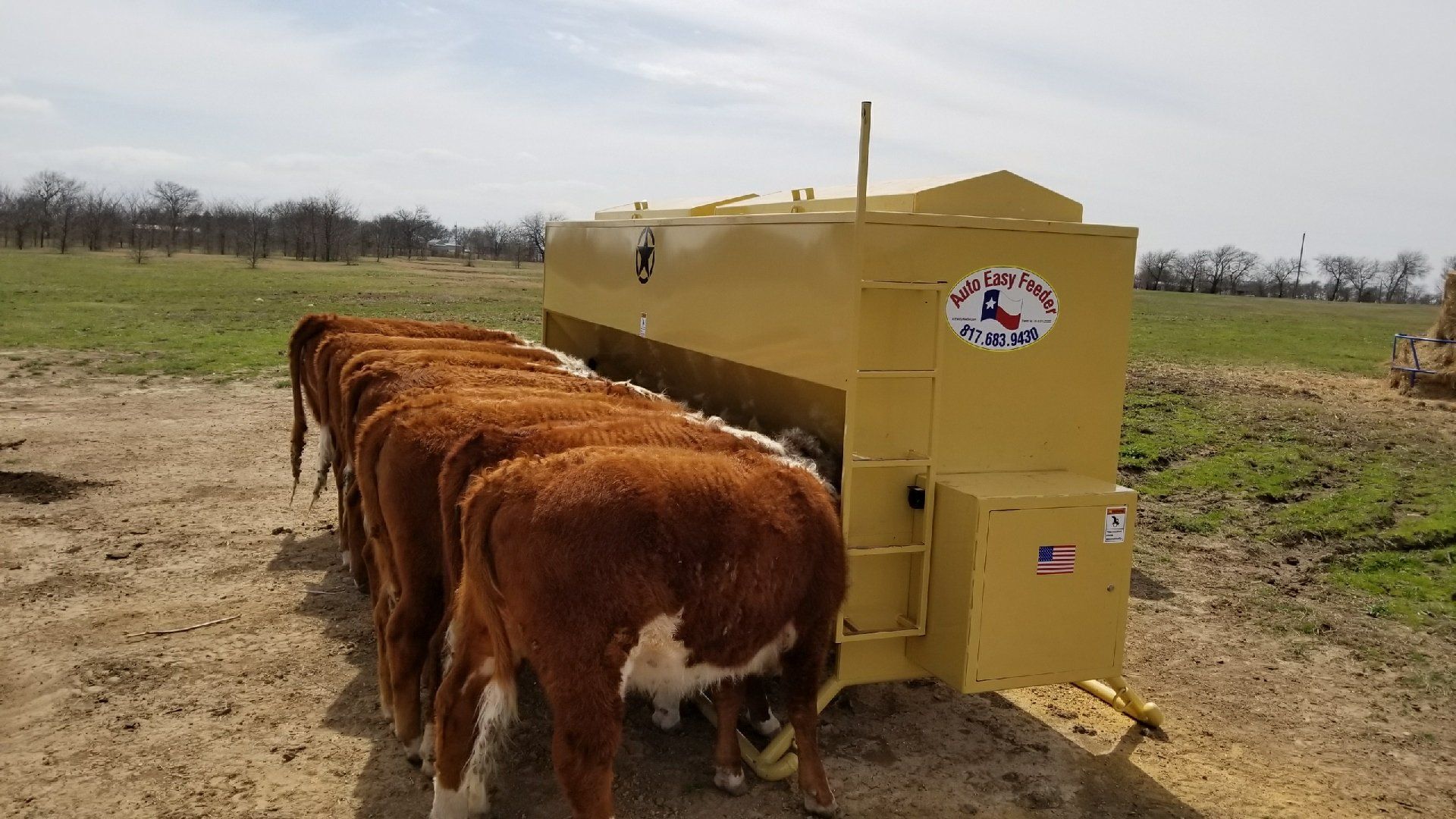 Cattle Feeder Arlington, TX Auto Easy Feeder