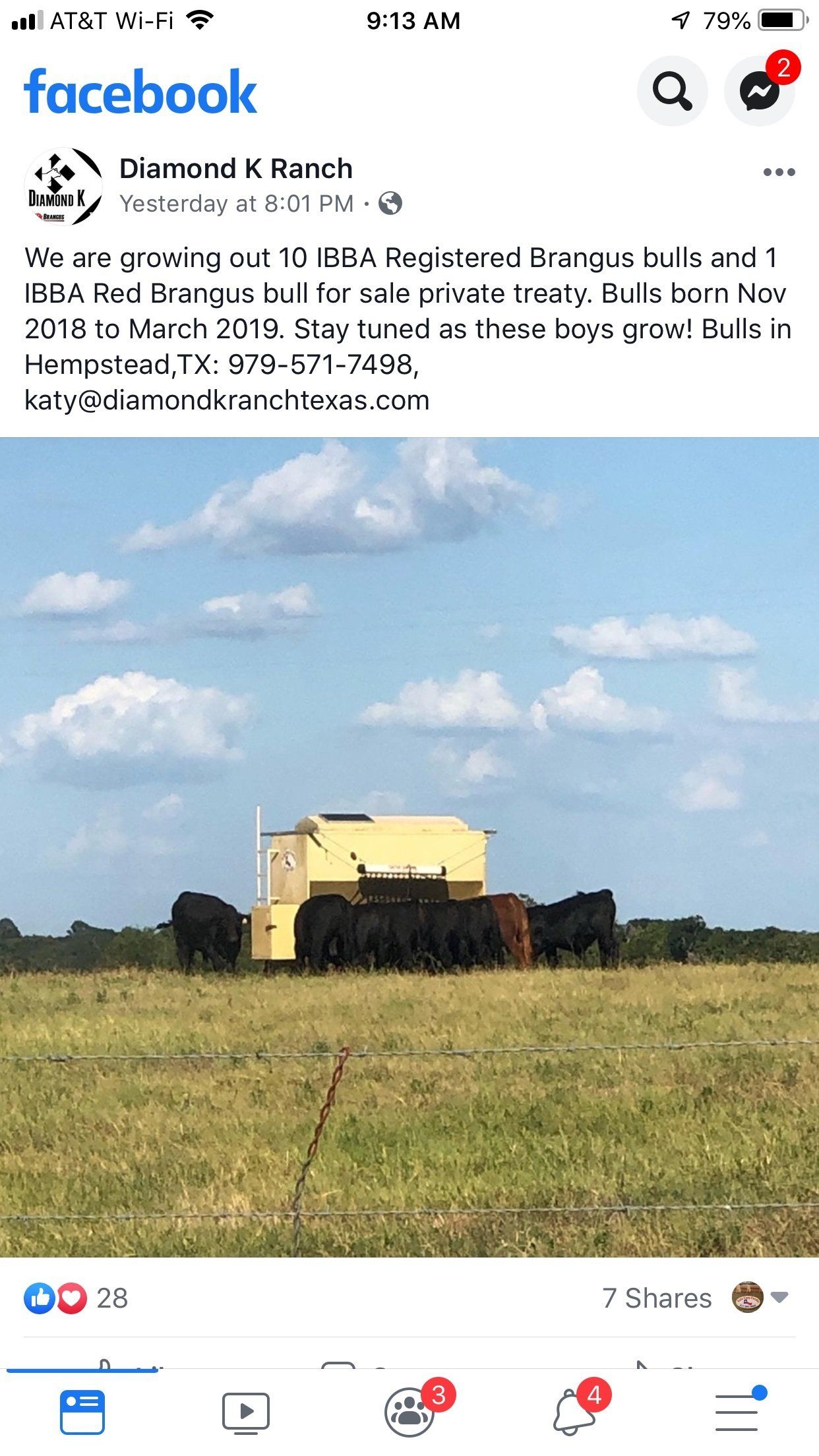 Cattle Feeder Arlington, TX Auto Easy Feeder