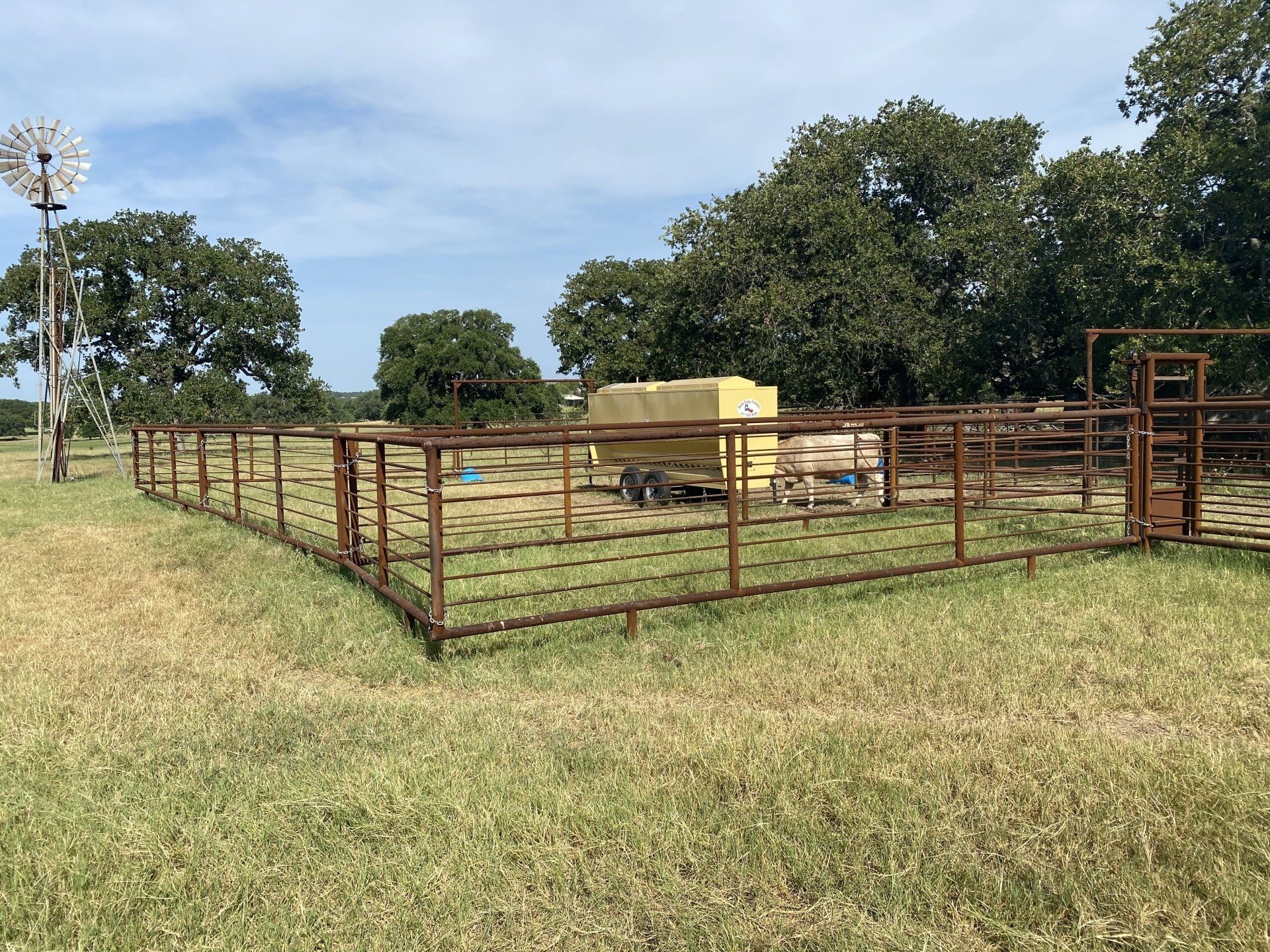 Cattle Feeder Arlington, TX Auto Easy Feeder