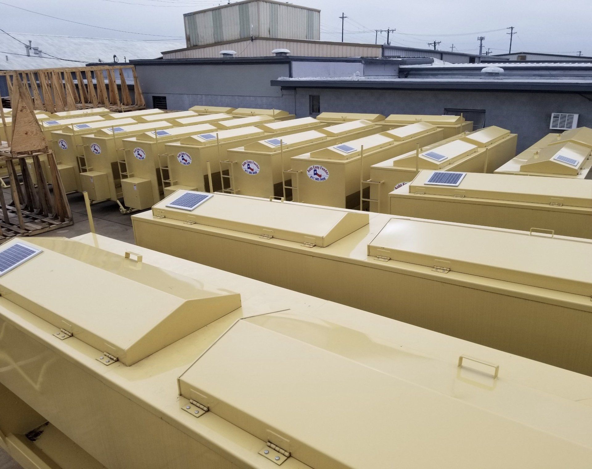 Programmable Cattle Feeder Arlington, TX Auto Easy Feeder