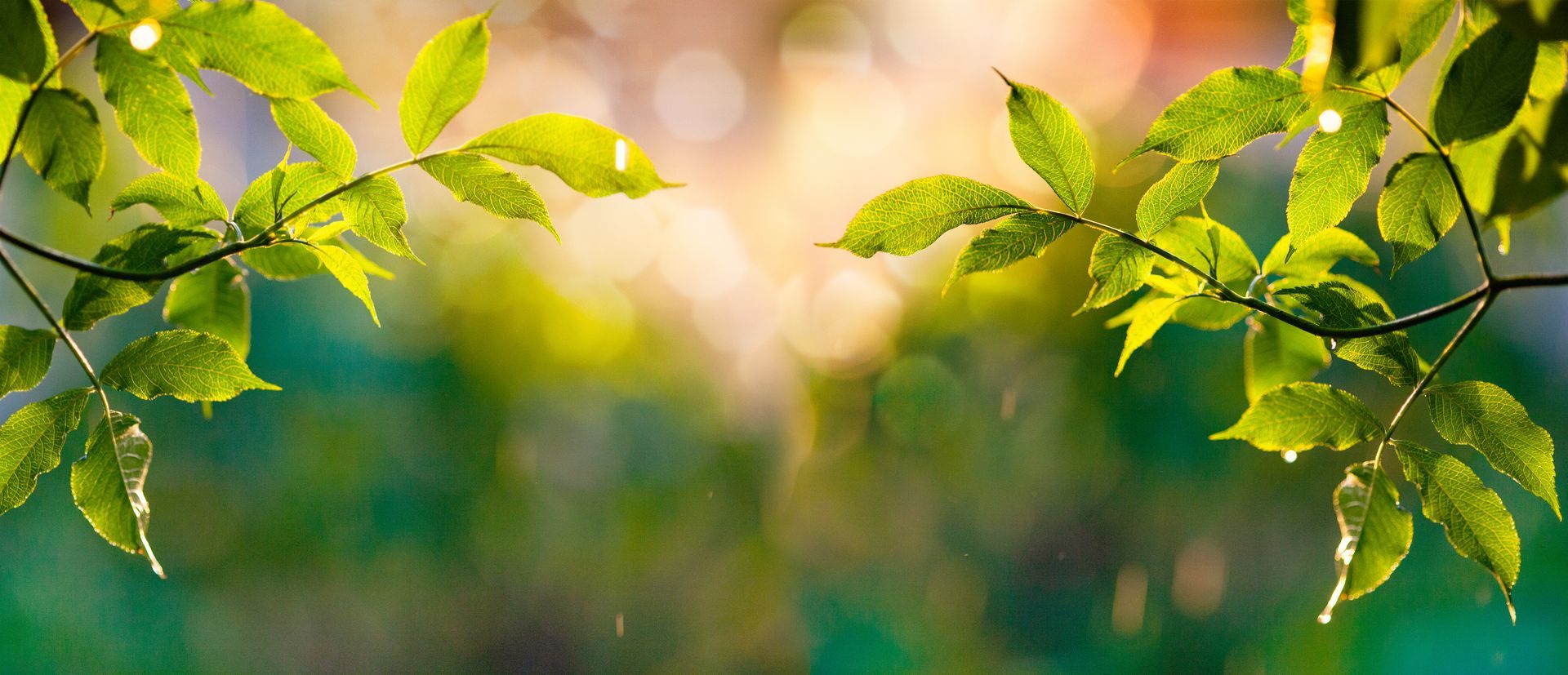 Two women in a light-colored room, one comforting the other by holding hands.