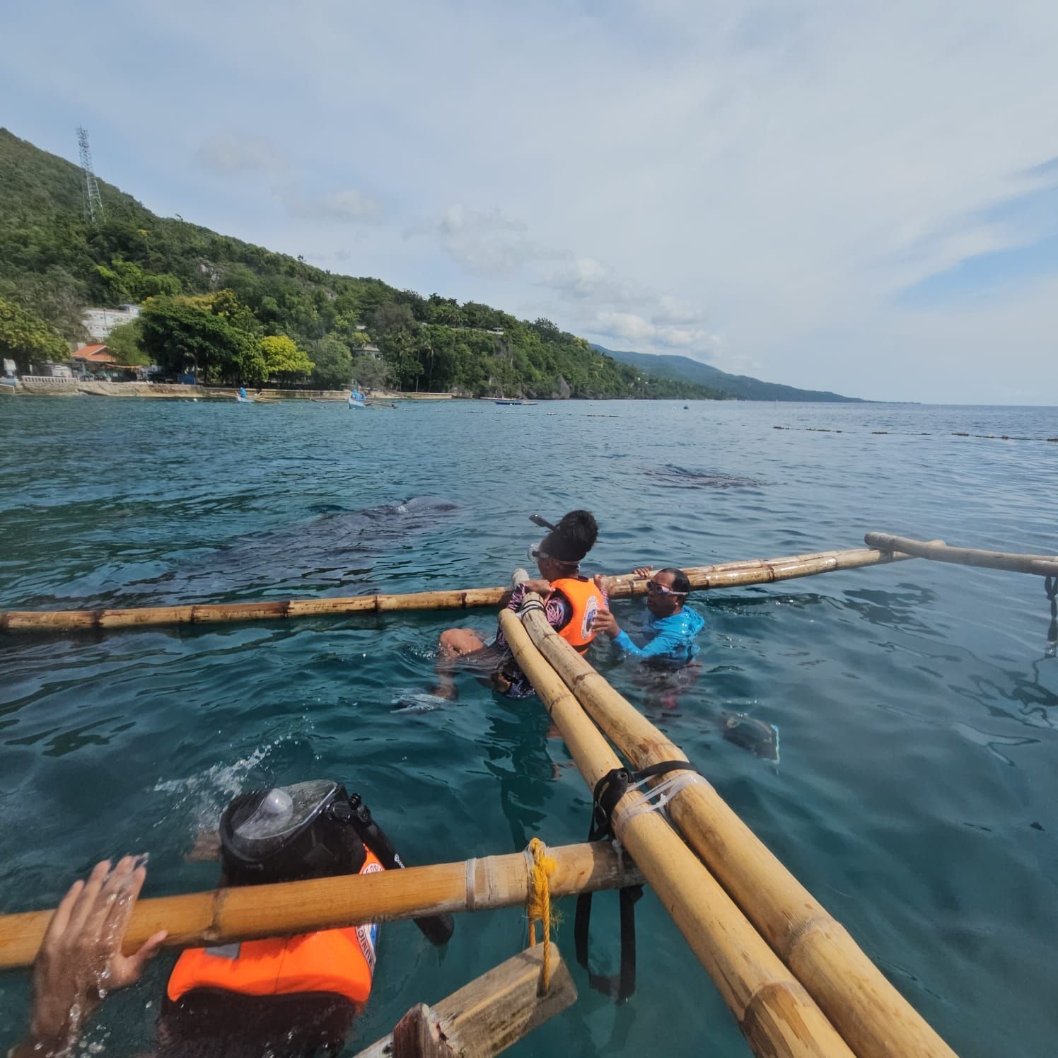 8 Activities You Shouldn't Miss in Cebu, Philippines by The Broker Who Travels