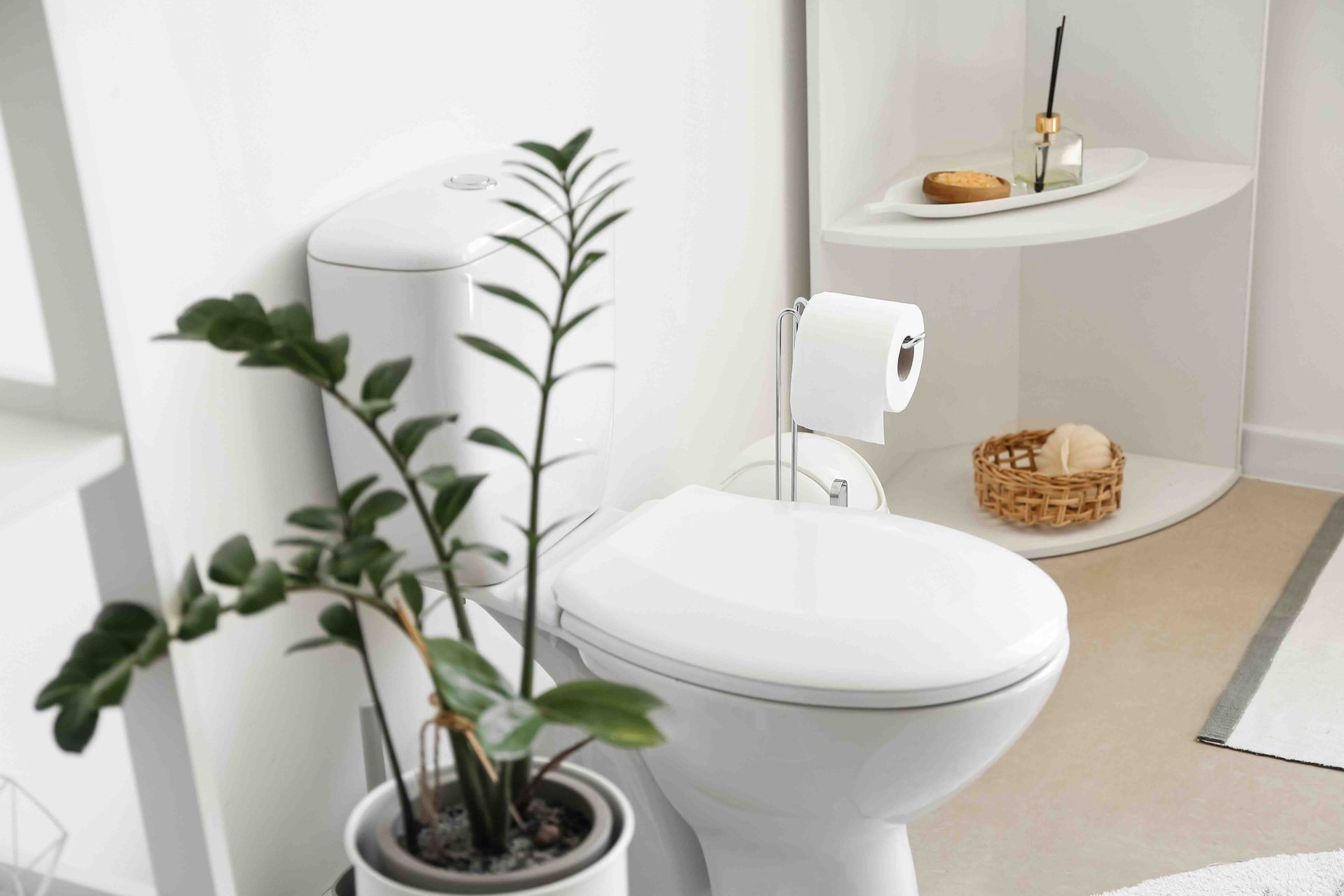 a toilet with a potted plant next to it in a bathroom.