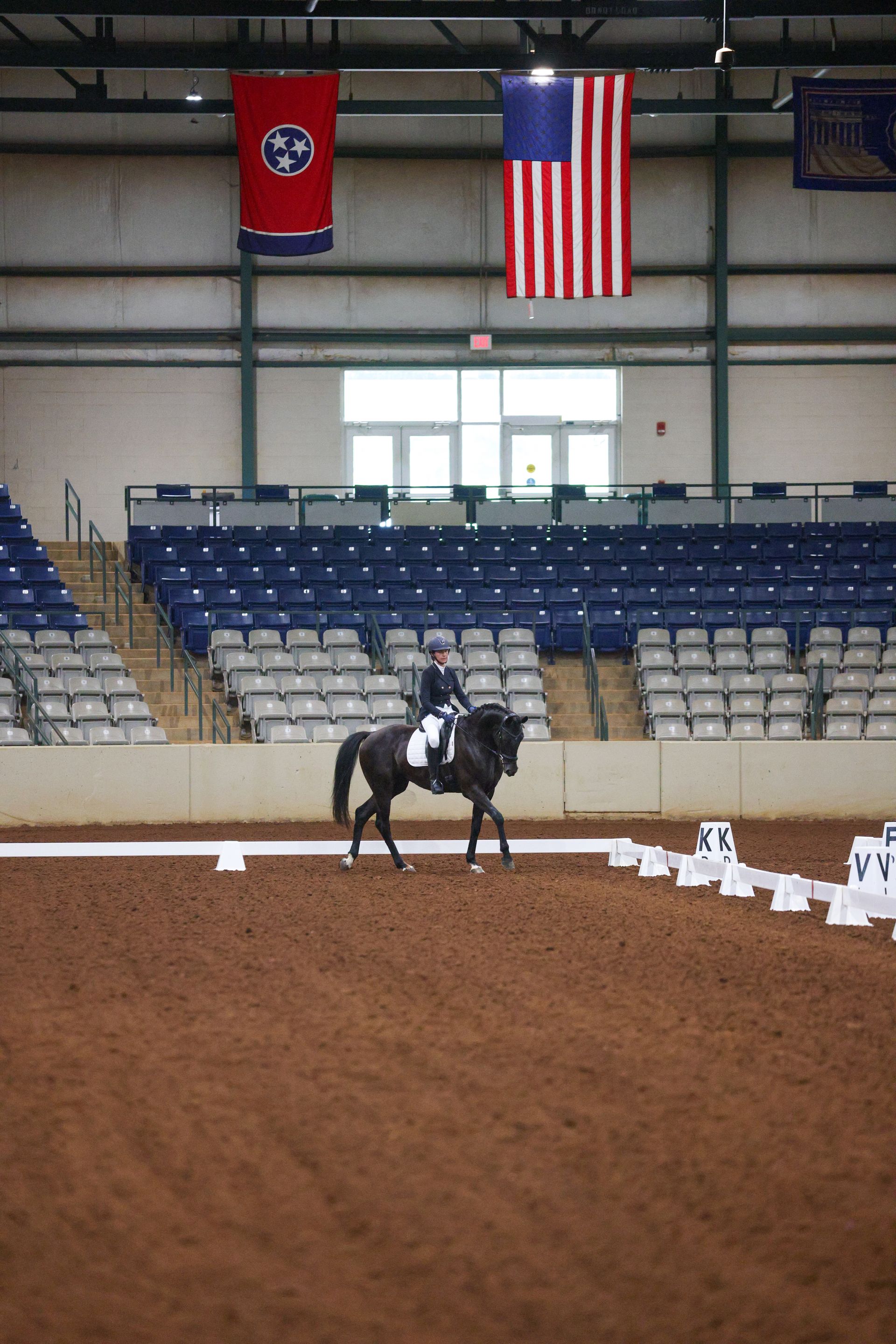 Pauline Renon Professional horse rider  Nashville Tennessee