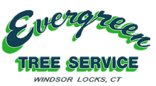 Evergreen Tree Service