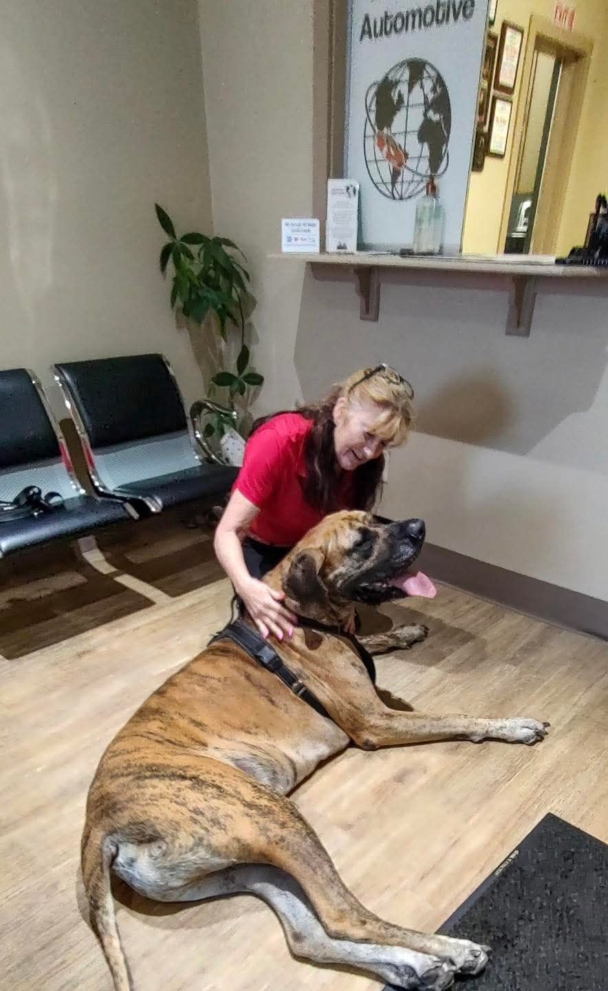 Care — Beautiful Newly Repaired Car in Orange Park, FL