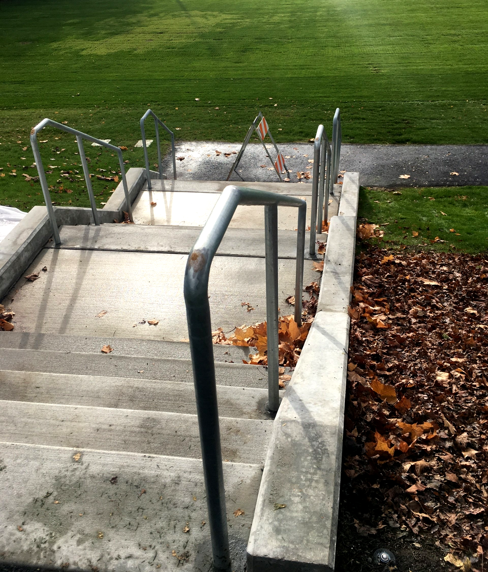 Concrete outdoor stairway with metal handrails beside grass and fallen leaves