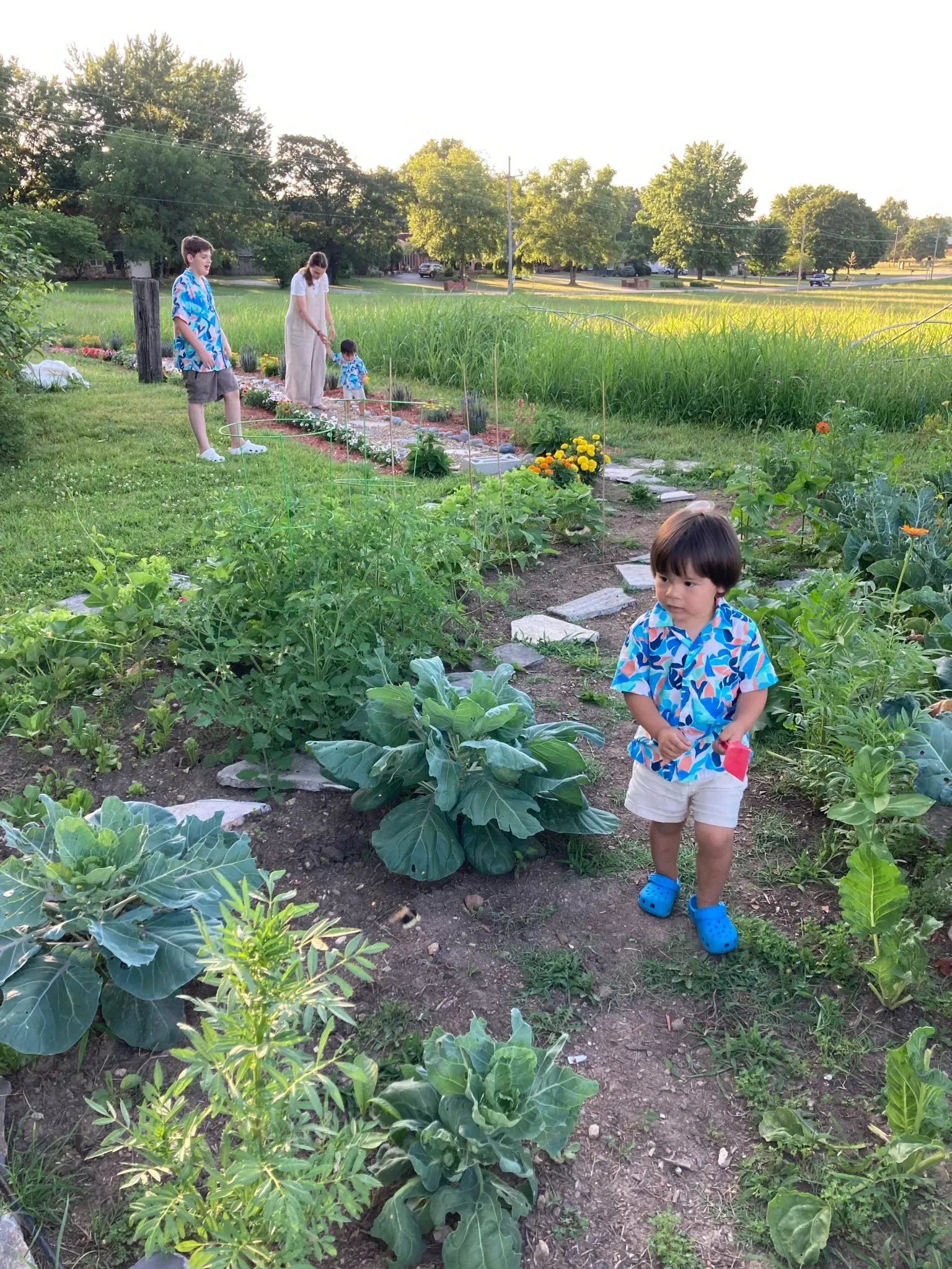 A little boy is standing in a garden holding a watering can.