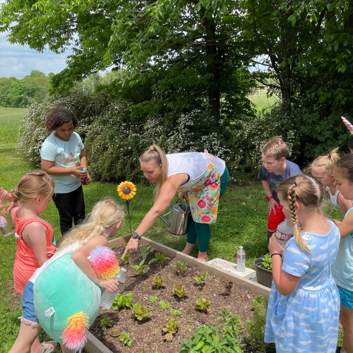 A group of children are standing around a garden bed.