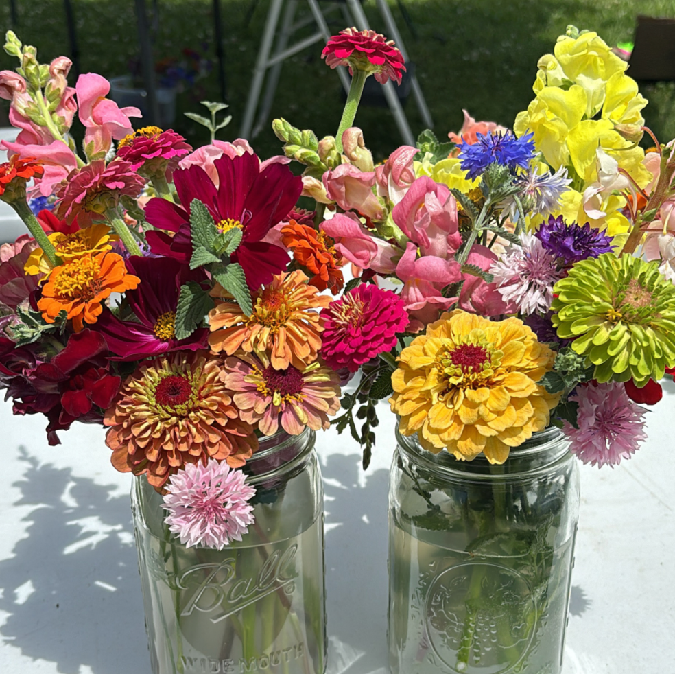 Two mason jars filled with colorful flowers on a table