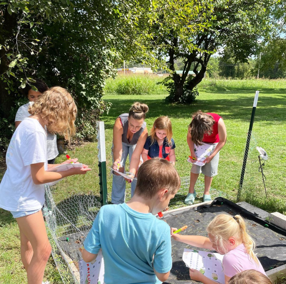 A group of children are standing around a trampoline in a park.