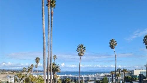 Palm trees in front of a building and the ocean.