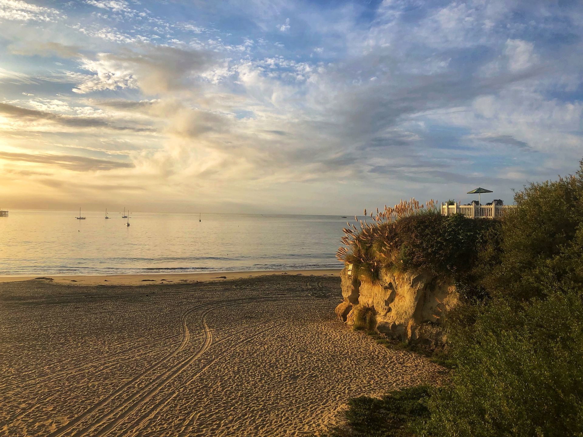empty beach surrounded by cliffs covered in ice plants