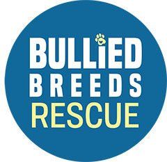 bullied breeds rescue