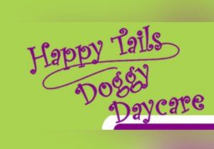 happy talls doggy daycare
