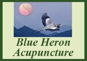 blue heron acupuncture