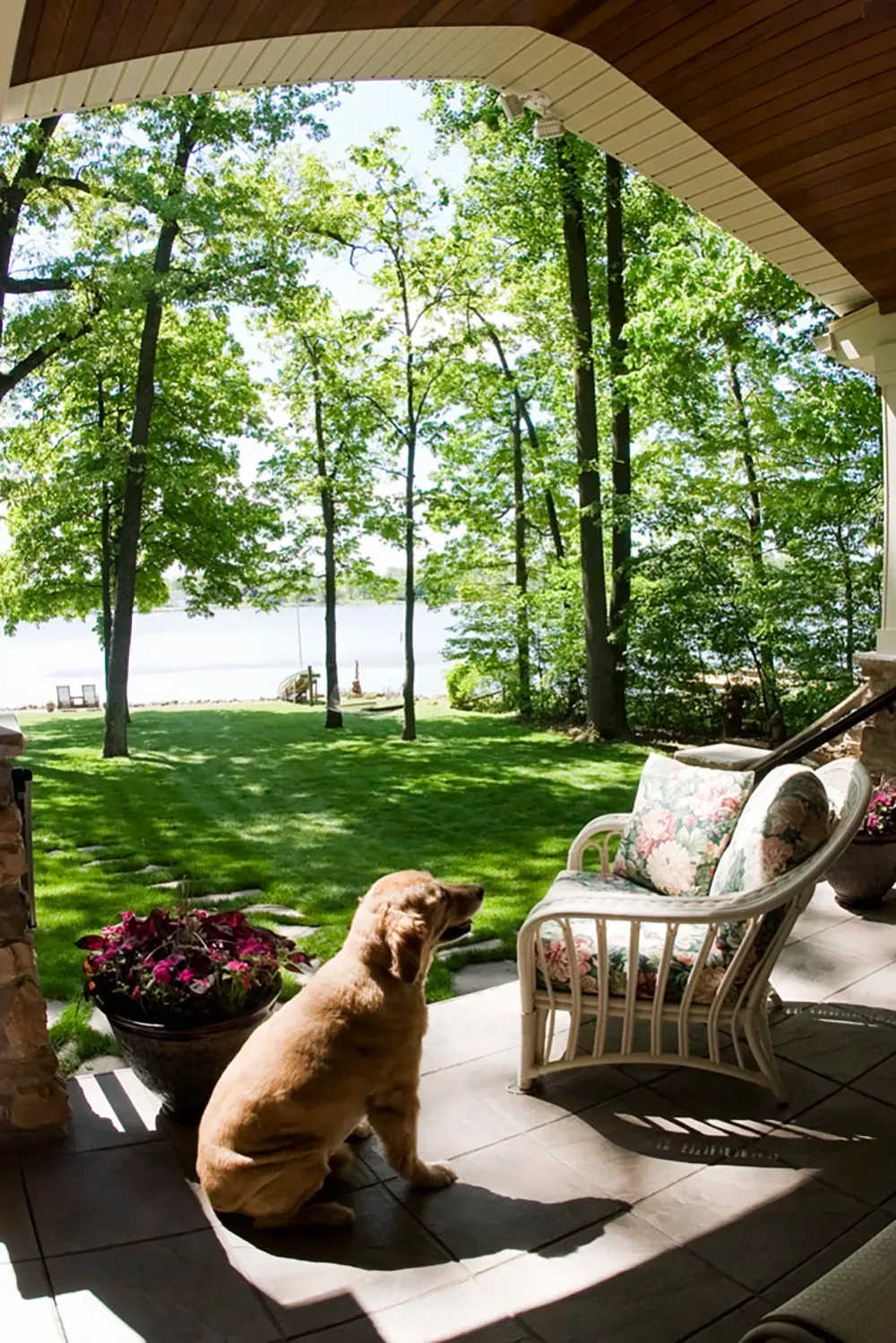 A golden puppy sits on a shaded stone porch, gazing out at a lush green lawn, trees, and a lake in the distance.