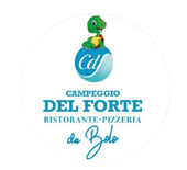 Logo per il ristorante Campeggio Del Forte con una tartaruga su una palla blu, testo turchese, sfondo bianco.