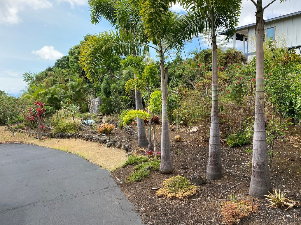 Landscape installation with s driveway surrounded by trees and bushes with a house in the background