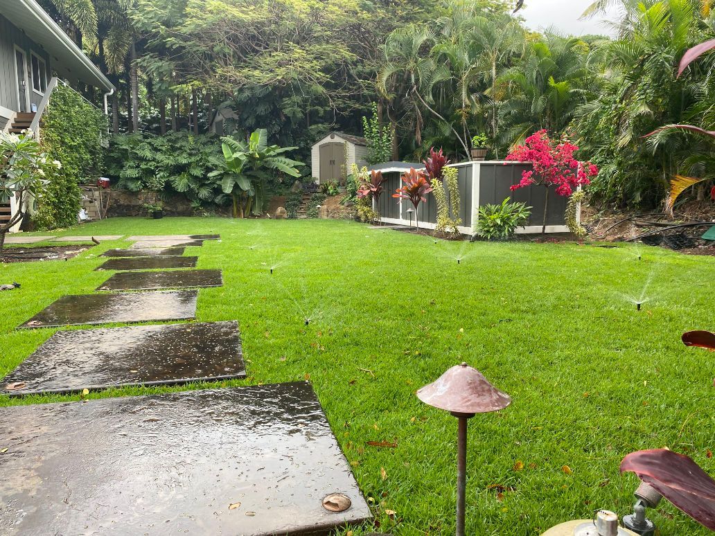 sprinkler system installation on  lawn with a sprinkler in the middle of it