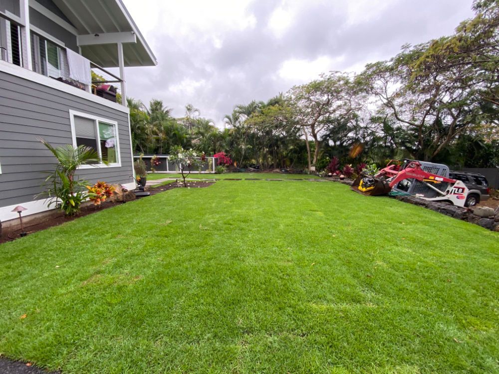 lawn installation of a large lush green lawn in front of a house.