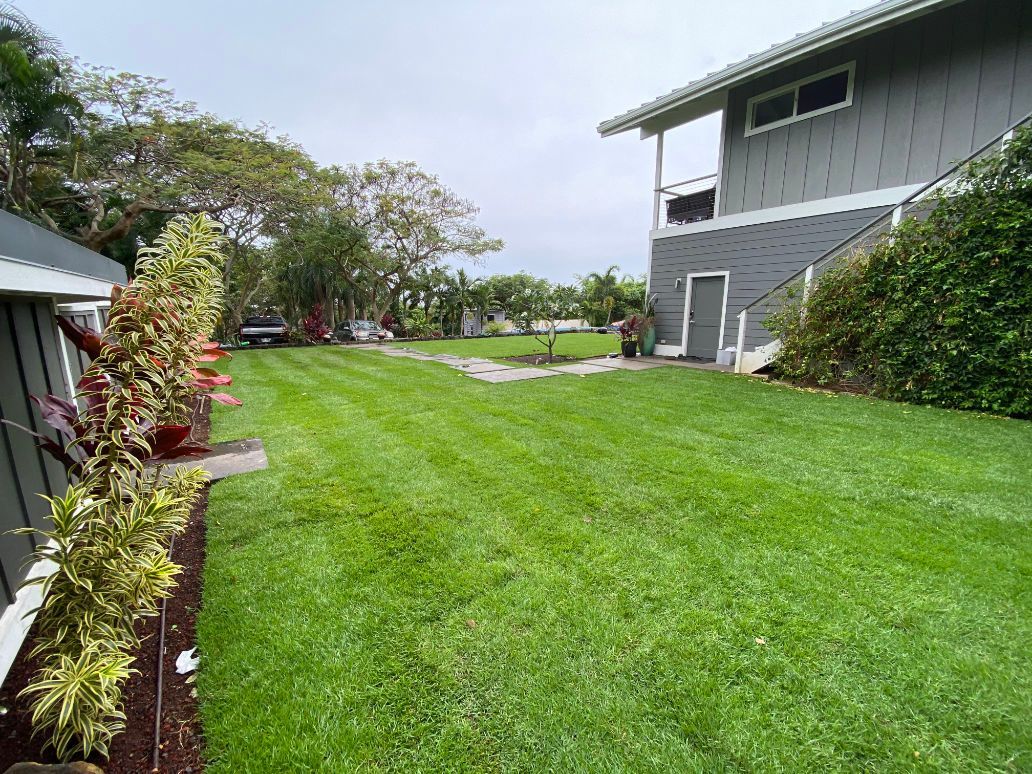 A large lush green lawn in front of a house showing lawn installation. 