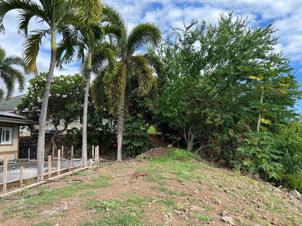 A lush green field with palm trees and a house in the background.