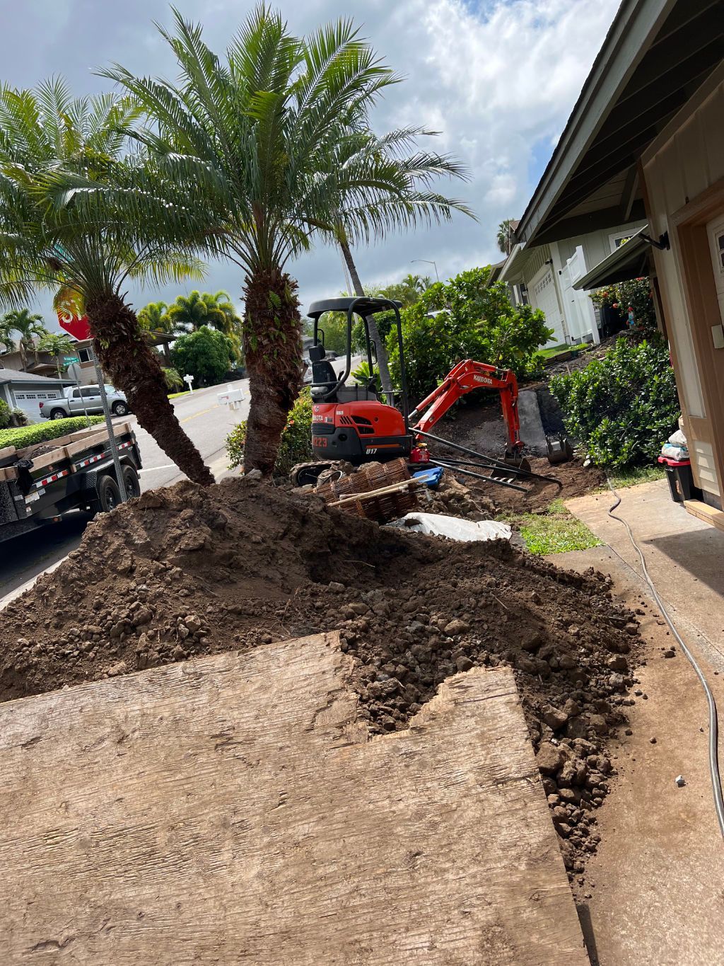 A red excavator is digging a hole in the ground next to a palm tree for landscape installation. 