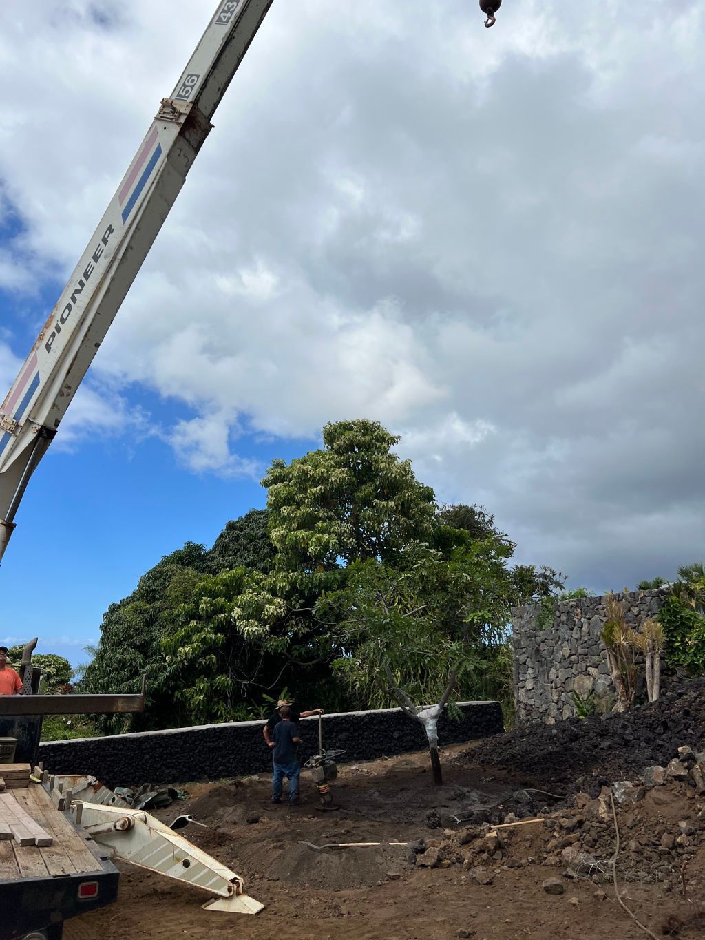 A large crane is sitting on top of a truck in a dirt field getting ready to install a tree. 