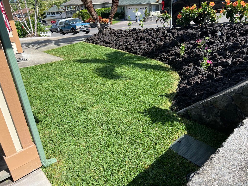 Finished lawn installation project showing a  lush green lawn in front of a house with a car parked in the background.