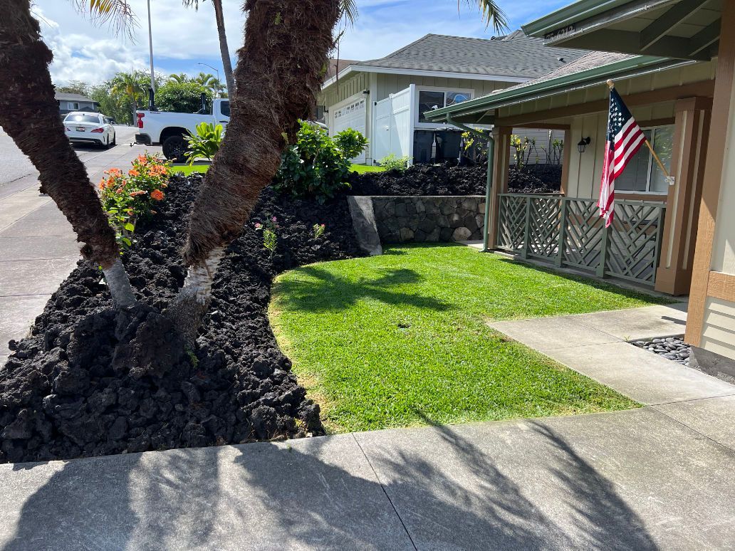 A house with a palm tree in front of it and an american flag.