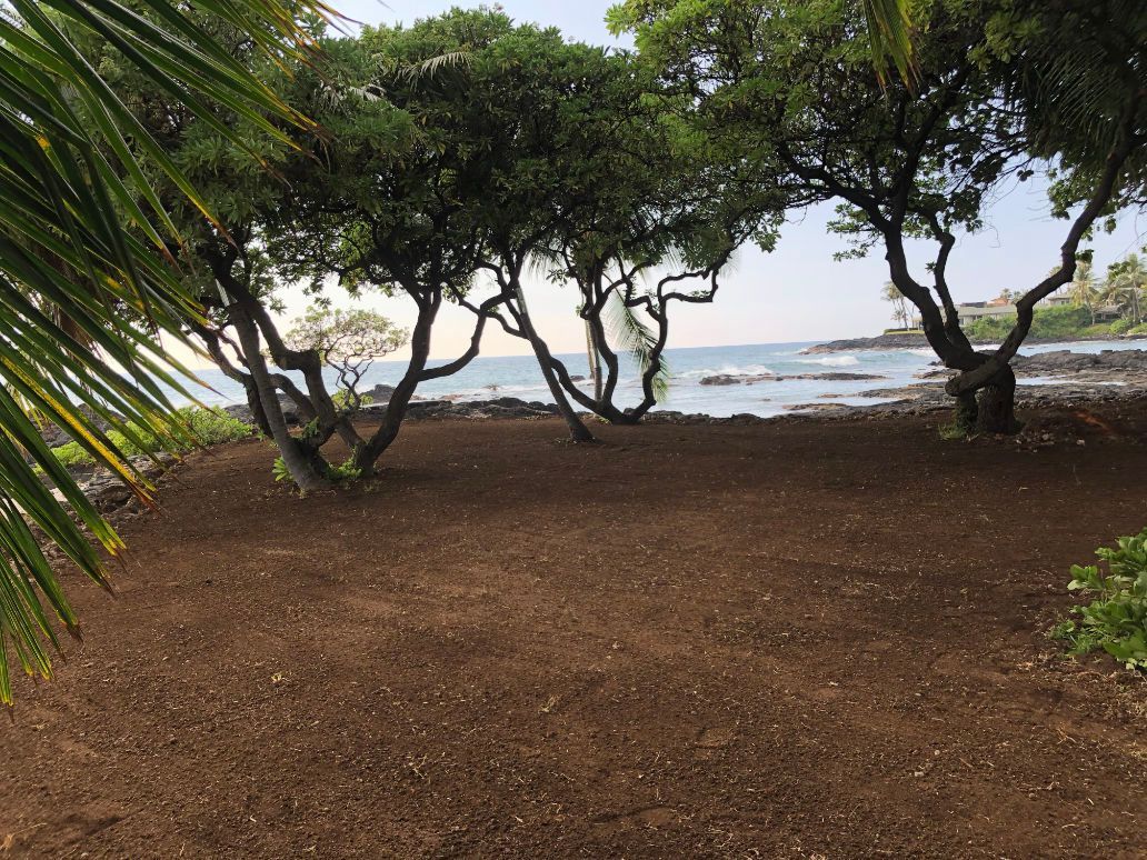 A lush green field with trees and a view of the ocean showing a Grading and excavation project. 