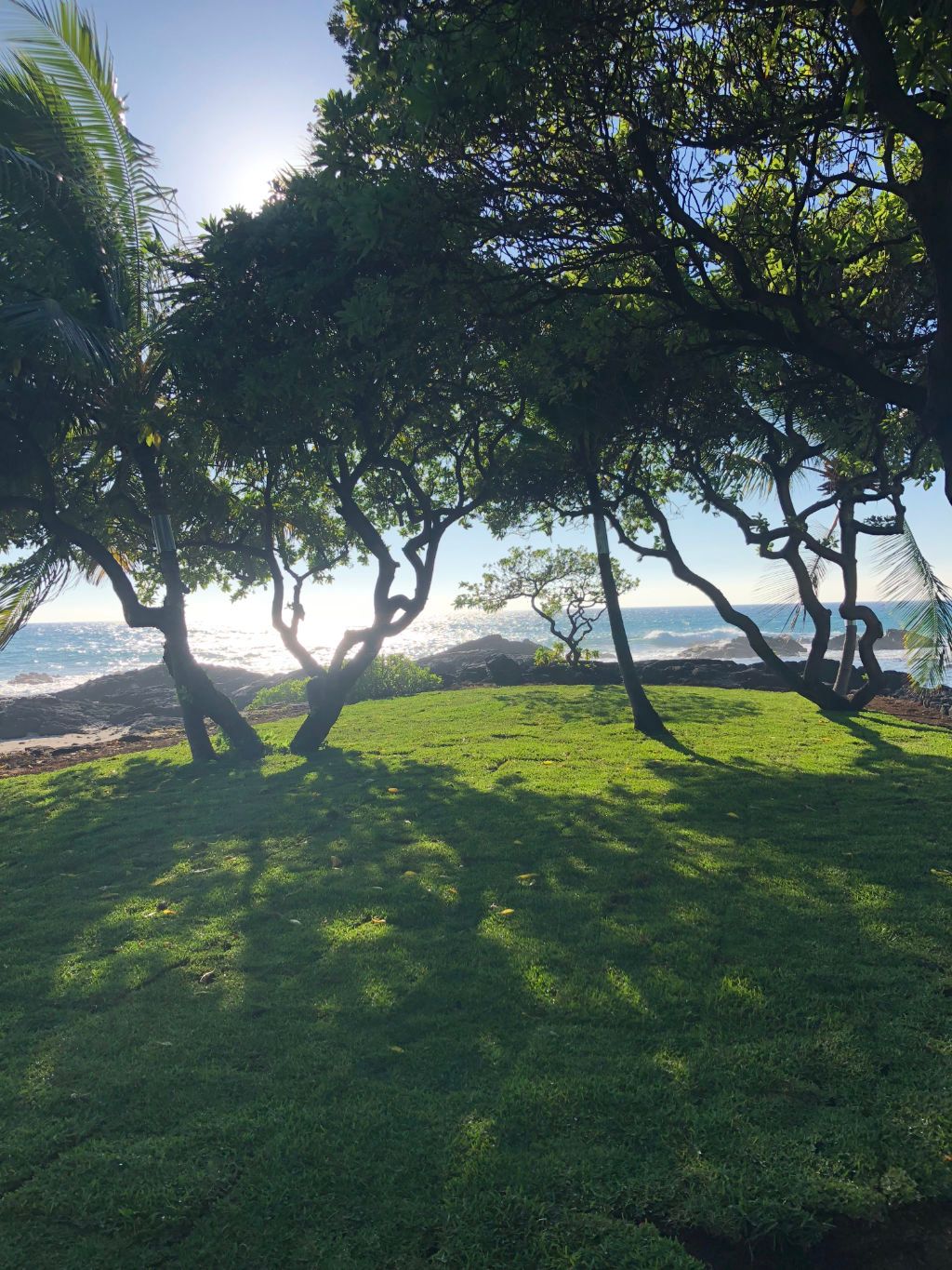 excavation and landscaping project