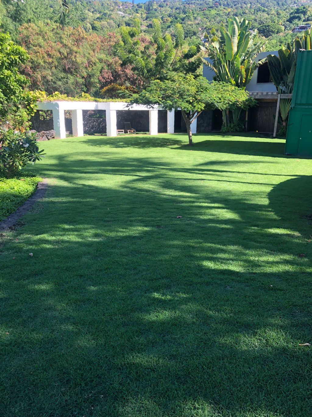 Lawn installation project showing a large lush green field with a house in the background