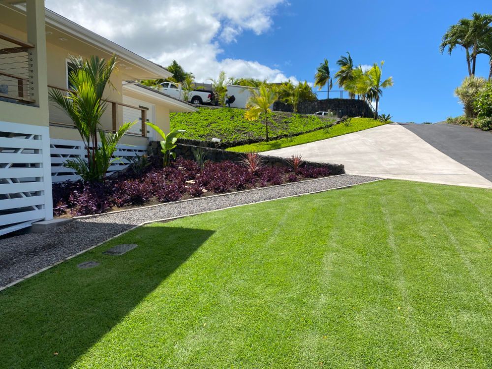A  house with a lush green lawn and a driveway leading to it for a sprinkler system and lawn installation project. 