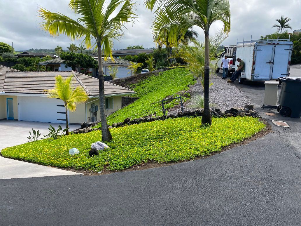 A house with a lush green lawn in front of it for a landscaping project. 